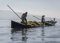 © Edo Potočnik - Pobiralci alg na jezeru Inle, Burma 2018