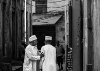 © Miroslav Ilić - Stara Prijatelja 24-1