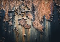© Maja Špendal - Novi svet