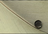 © Damjan Voglar - Parallels