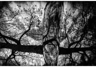 © Aleš Klabus - Bio