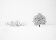 © Barbara Gregorič Silič - Snow storm in wonderland