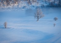 © Marjan Verč – Samotarji 1