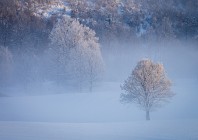 © Marjan Verč – Samotarji 2