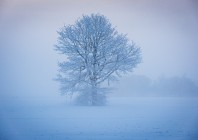© Marjan Verč – Samotarji 3