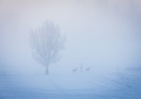 © Marjan Verč – Samotarji 4
