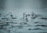 © Maja Špendal - Šepet ledu 1