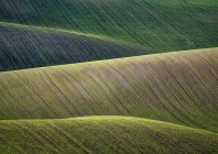 © Silva Predalič - Valovi zemlje