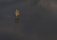 © Barbara Gregurič Silič - Planina 1