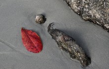 Selekcija fotografij na temo POKRAJINSKA INTIMA