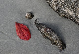 Selekcija fotografij na temo POKRAJINSKA INTIMA