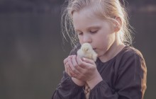 Selekcija fotografij na izziv SOBIVANJE LJUDJI IN ŽIVALI