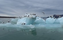 Odprtje razstave Jelka Pekolj Marko - SVALBARD - DEŽELA POLARNEGA MIRU