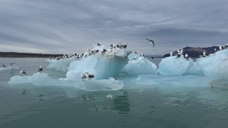 Odprtje razstave Jelka Pekolj Marko - SVALBARD - DEŽELA POLARNEGA MIRU