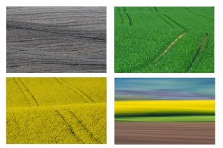 Selekcija fotografij na temo "4"